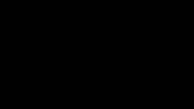 Бадарик (engl)