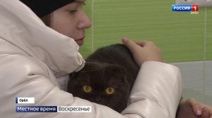Упокойся, Барсик, с миром