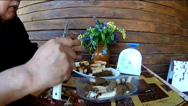 Сморчки апрель 2018 смотреть онлайн
