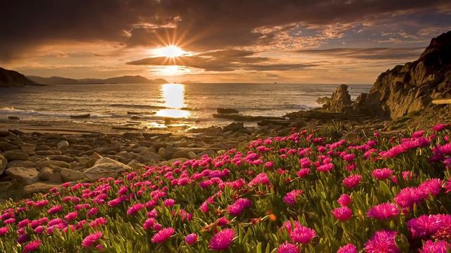 НЕЖНАЯ МЕЛОДИЯ НА САКСАФОНЕ Saxophone