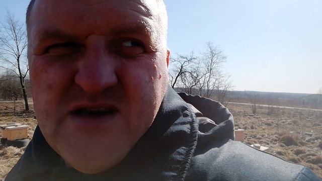 Что делать, чтобы не прогореть в ПЧЕЛОВОДСТВЕ? смотреть онлайн