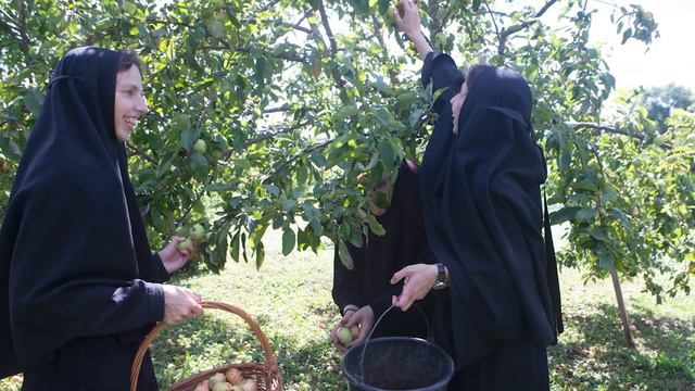 «Тихо льется ночь за окошком» смотреть онлайн