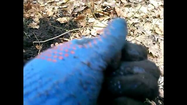 НАШЕЛ ЗОЛОТО! ШОК! Как я нашел ЗОЛОТО УДАЧНЫЙ ЗОЛОТОЙ КОП! СМОТРЕТЬ ВСЕМ! / I found a gold ring смотреть онлайн