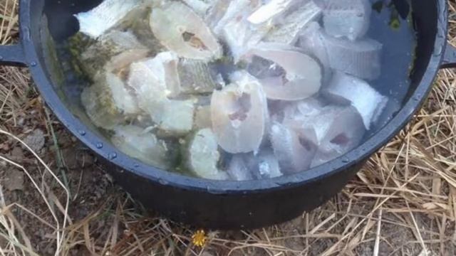 Астрахань 2017 сентябрь Замьяны смотреть онлайн