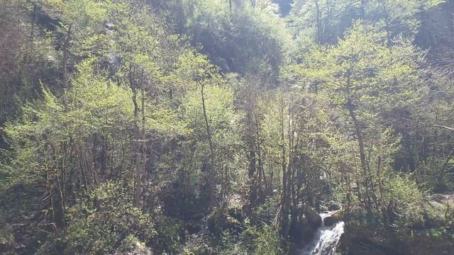 Гуамское ущелье . Май 2021г. /4k/ смотреть онлайн