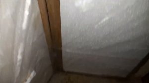 Сарай для перепелов