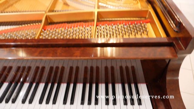 2017 Steinway & Sons grand piano crown jewel collection Kewazinga Bubinga - video demo смотреть онлайн