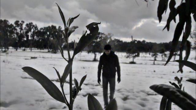 Stellamara - Prituri Se Planinata | The Song of the Life | смотреть онлайн
