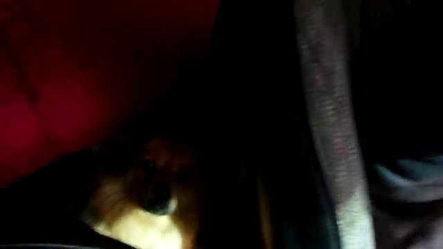 девочки,жигули и русские дороги... смотреть онлайн