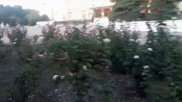 Ростовская обл. г. Аксай смотреть онлайн