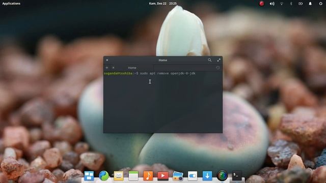 How to uninstall Java (Linux) смотреть онлайн