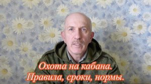 Охота на кабана, правила, сроки, способы.