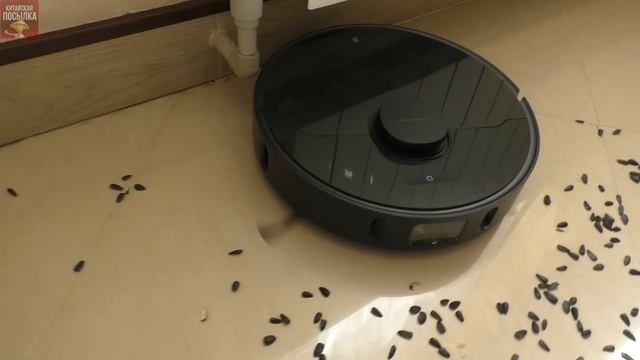 Dreame Bot L10 Pro ? 3Д камера ПРОТИВ КУЧИ семечек НЕ ВЫВОЗИТ и МАТЕРИТСЯ! смотреть онлайн