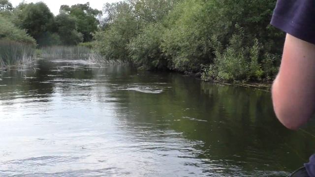 ВЕРНУЛИСЬ НА ЗАБЫТУЮ РЕКУ - ТУ, ГДЕ ЖИВУТ ЗЛЫЕ ОСЕННИЕ ЩУКИ! А что поймаем летом? смотреть онлайн