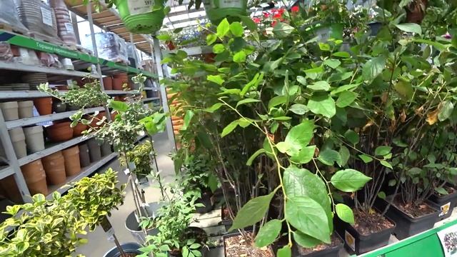 Купили косу, косим. Перекрашиваем перила. Уборка участка. смотреть онлайн