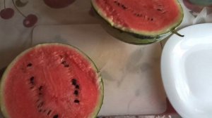 Арбуз Бедуин. 2 месяца на плети и что внутри? Арбуз не переспевает а шкурка утоньшается!