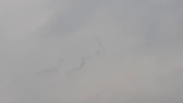 Журавли прилетели в Москву, весна 2019 смотреть онлайн