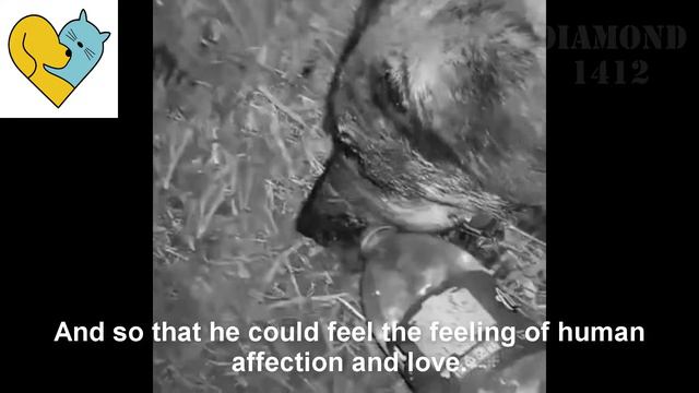 He was left in an empty land in the suburbs after the accident and the miracle happened смотреть онлайн