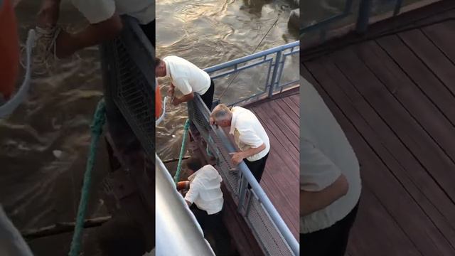 СПАСЛИ человека, который ТОНУЛ в реке Амур//Благовещенск 16 июля смотреть онлайн