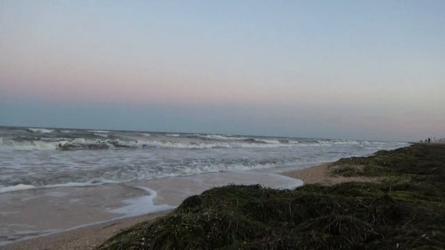 #счасливцево #арабатскаястрелка #азовскоеморе 2021.09.09.щасливцеве.вечір.вродила морська капуста. смотреть онлайн