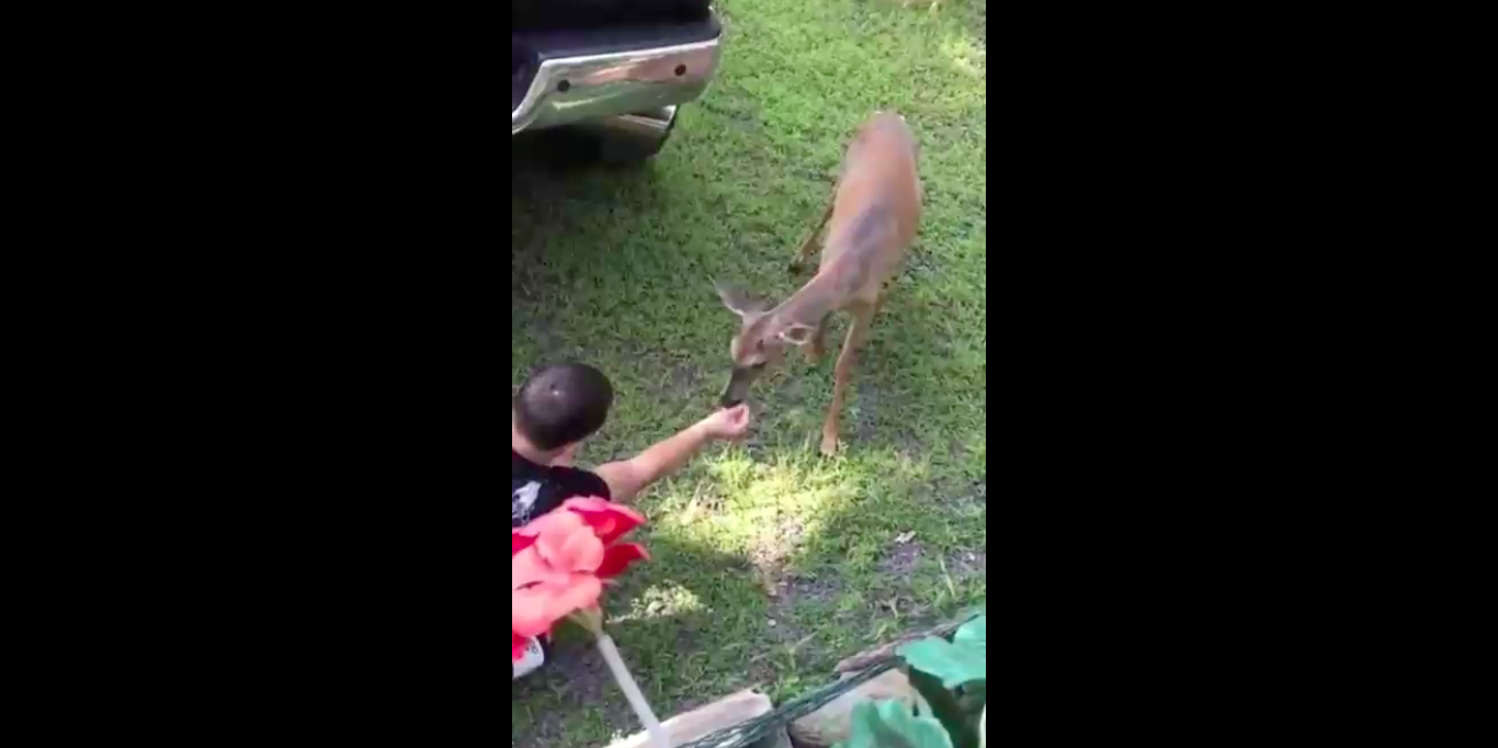 пустую руку не протягивать смотреть онлайн