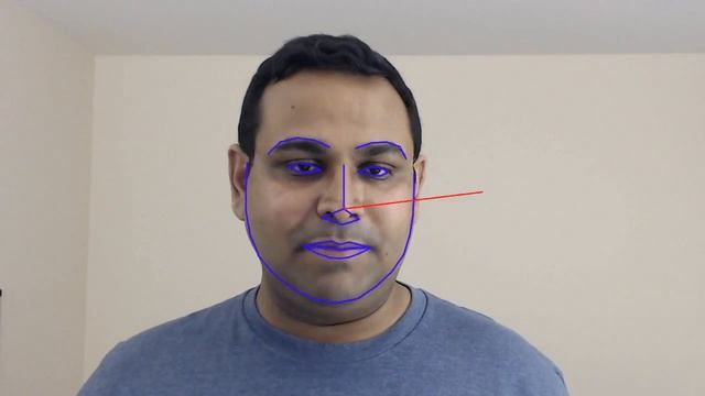 Head Pose Estimation смотреть онлайн