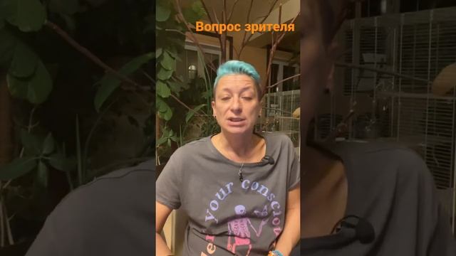 Досветки и фитолампы. Когда и как использовать и будет ли отдельное видео? смотреть онлайн