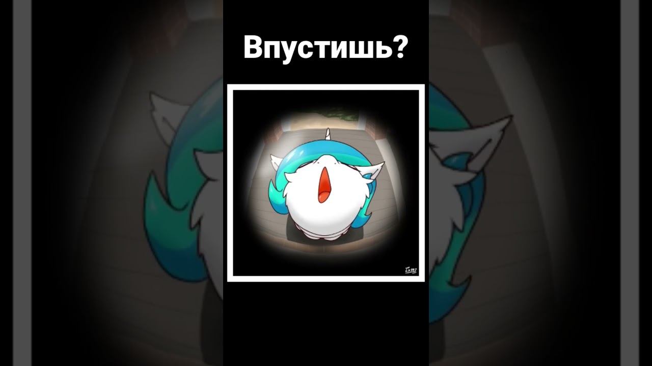Впусти ее;З # #пони #mlp #pony #дружба #мультик #мультсериал #анимация смотреть онлайн