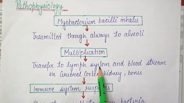 Pulmonary Tuberculosis for nursing I Definition I Causes I Pathophysiology I Diagnostic evaluation смотреть онлайн