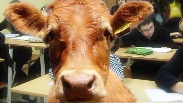 Кулакова дай списать смотреть онлайн