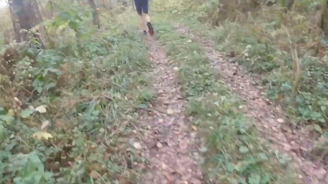 Приехали на кросс лыжников в Солнечногорск смотреть онлайн