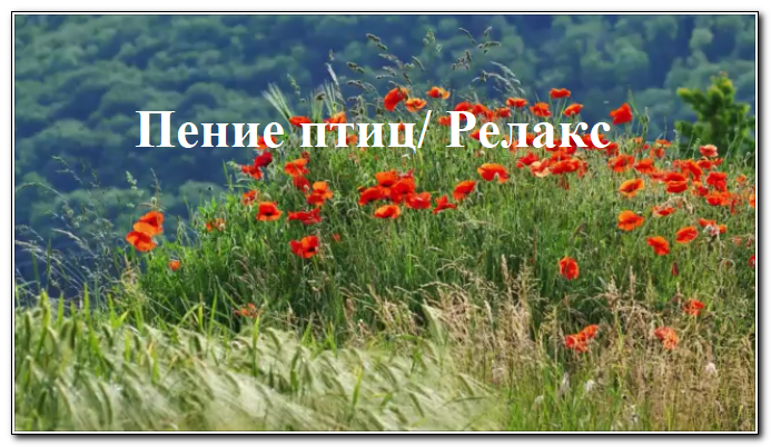 Пение птиц  поможет отдохнуть и расслабиться