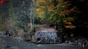 Страшные истории на ночь - ШКOЛA №66. ЧУВСТВО СMEPTИ - Ужасы Мистика Хоррор Страшилки про деревню