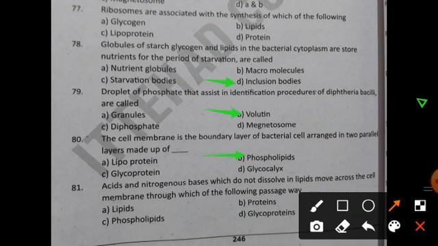 MCQs on structure of Bacteria Microbiology lecture by Dr Abdul Manaf Alvi смотреть онлайн