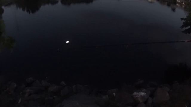 DONT DROP THE "BASS" смотреть онлайн