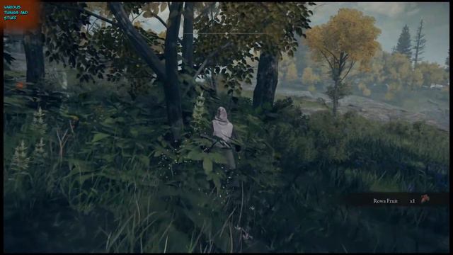 Elden Ring Memory Stone & Puzzle Oridys's Rise Tower Limgrave смотреть онлайн