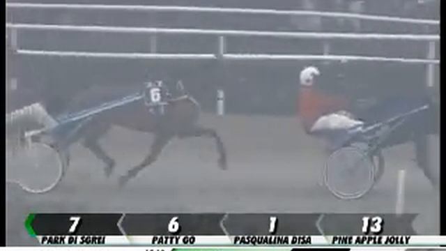 20/01/2013, Firenze Trotto, Premio Giancarlo E Liana Lami смотреть онлайн
