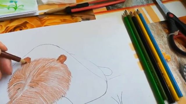 Как нарисовать медведя цветными карандашами смотреть онлайн