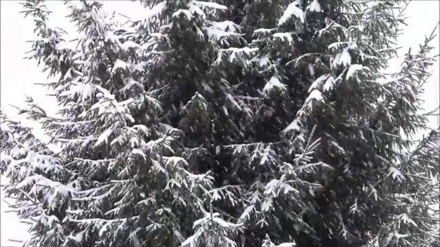 Падал белый снег Красивая песня! смотреть онлайн