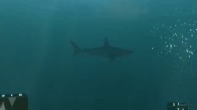 Crysis Shark Attack смотреть онлайн
