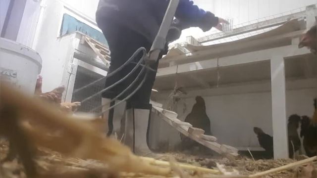 Какие новости на сегодняшний день с нашего подворья✌️😉 смотреть онлайн