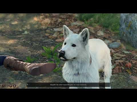 Baldur's Gate 3 [RUS, без комментариев]. Часть 7: Медвесыч.