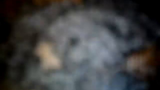 ДВС 2.0 С307 навес Focus 2 (ОАЭ К18, №16)