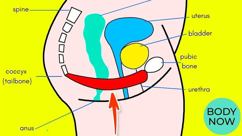 Упражнения кегеля. смотреть онлайн