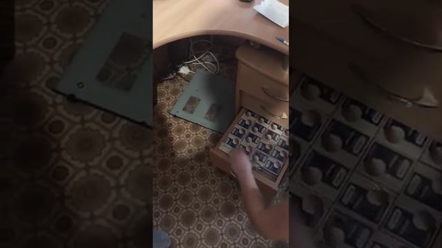 Видео,приколы,юмор,смех смотреть онлайн