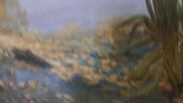 Картина масло Осень, тихое утро смотреть онлайн