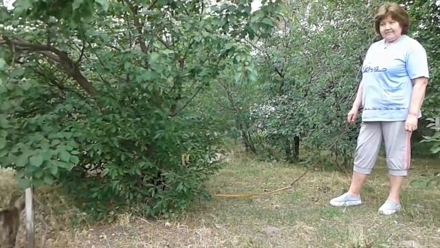 Прибился котик породы Табби. смотреть онлайн