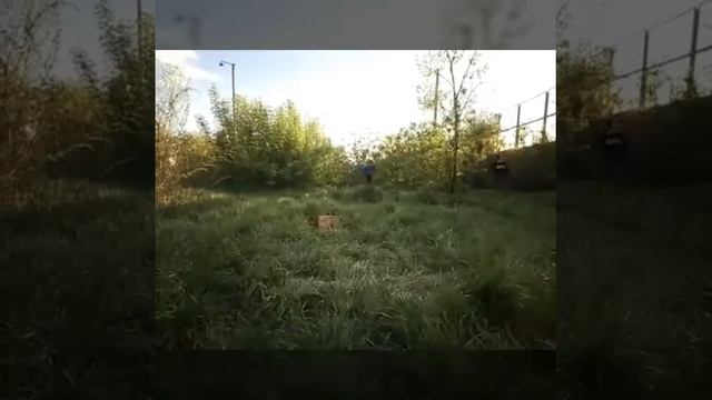 Эндшпиль- ,,Малиновый рассвет"(ПАРОДИЯ)!!! смотреть онлайн