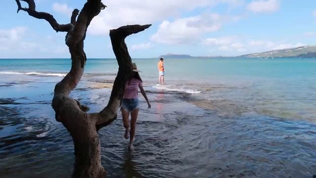 VLOG - ЖИЗНЬ НА ГАВАЙЯХ | ИЩЕМ ЖИЛЬЕ | МЕСТНЫЕ ПЛЯЖИ смотреть онлайн