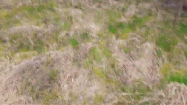 14 апреля 2023 г. смотреть онлайн